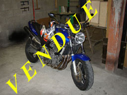 600 Hornet de Jérémie