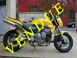 600 Hornet de Romuald